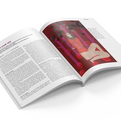 33 % Das Waldmagazin