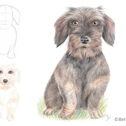 Drawing step-by-step