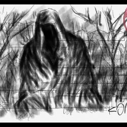 D.P.T 6