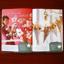 POS-Booklet | Ferrero 2010