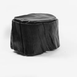 hocker bear 1