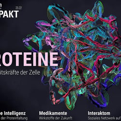 | Cb3D | Medizin