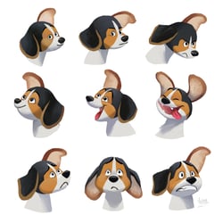 Beagle Emotionsausdrücke