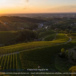 #Swarzwald #Blackforest #Sasbachtal #vineyard #Wineberg #RheinValley #Nature #Agriculture #Landwirtschaft #BadenWuerttemberg