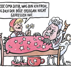 Erdogan und DITIB