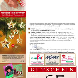 Waschbär Weihnachts-Editorial
