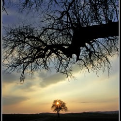 abends in Bonfeld 5667k