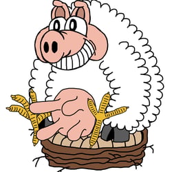 Eierlegende Wollmilchsau