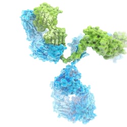 Illustration Antigen