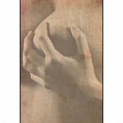 Studie 009