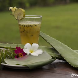Werbefoto für Aloe Vera