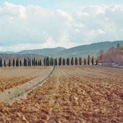 Toscana