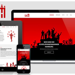SKH (SchülerInnenkammer Hamburg)