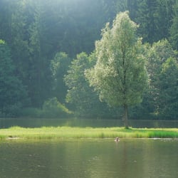 Swimming in a Lake