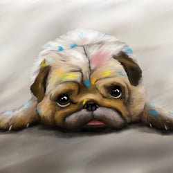 PUG PLAYING WITH COLORS