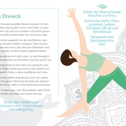Zamma Booklet2