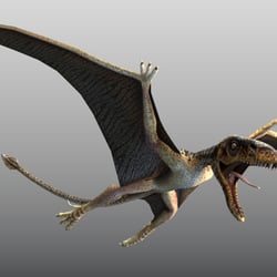 Dimorphodon