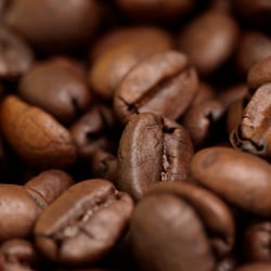 Kaffee-Bohnen