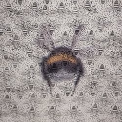 Bombo I