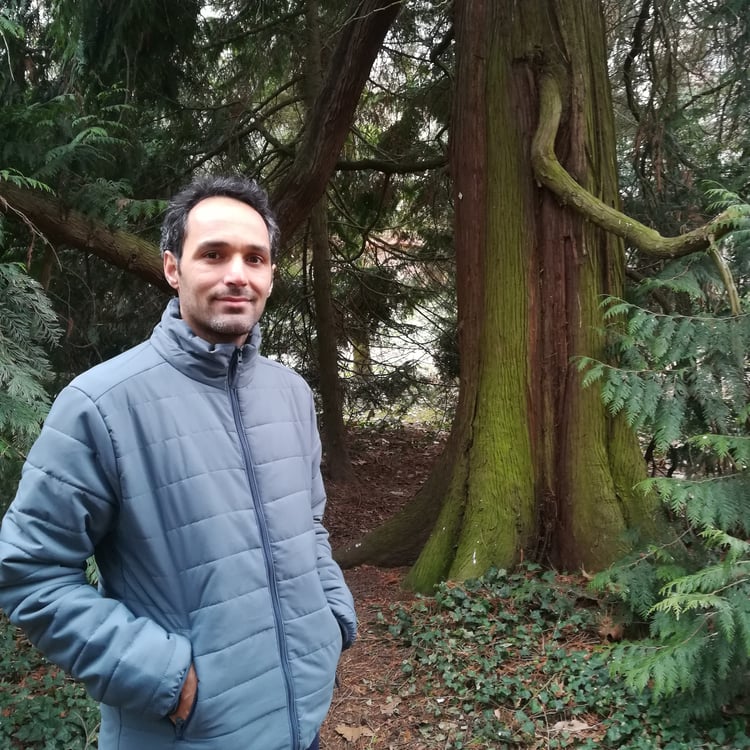 Majid Saberinejad