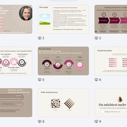 Portfolio Backoffice VA