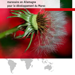 Diaspora Marokko, französisch