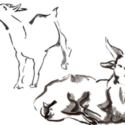 Bock auf Bock
