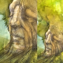 alter-baum