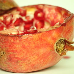 Granatapfel November 2012