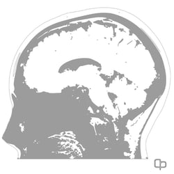 HEAD III