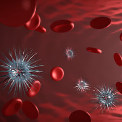 Infected Bloodstream