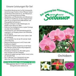 Flyer Wickelfalz Gartencenter (Text, Foto, Grafik, Design)