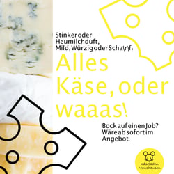 Schmid-Stellenanzeige-Käserei