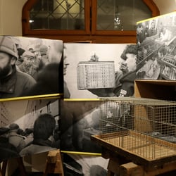 Taubenmarkt Museum Wasserburg 2019 11