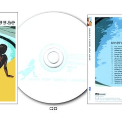 Finales Artwork „When Pop meets Reggae”