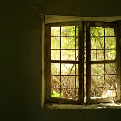 Fenster – Oktober
