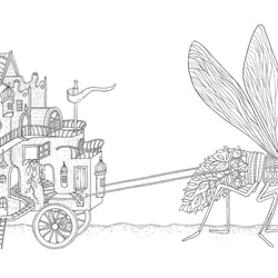 Fliegenhaus