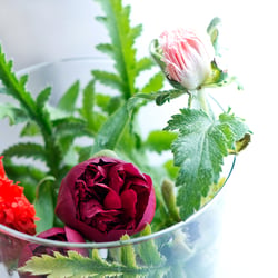blüten