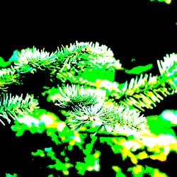 Nature 12 / Natur 12