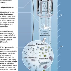 Mesokosmos zur Erforschung versauerter Ozeane – New Scientist Deutschland