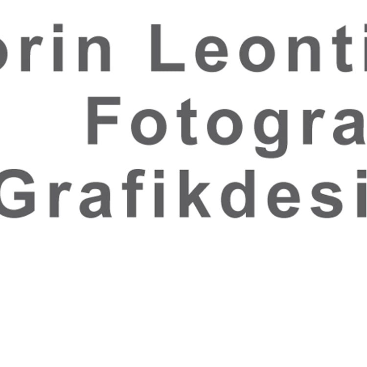 Florin Leonties