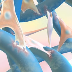3D -Grafik