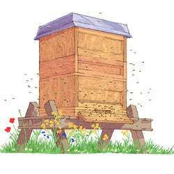 Gemüsegarten 2