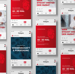 Instagram Grid