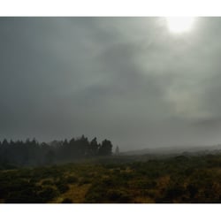 Maui