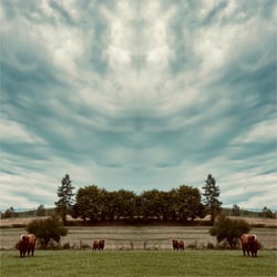 Spiegelbild