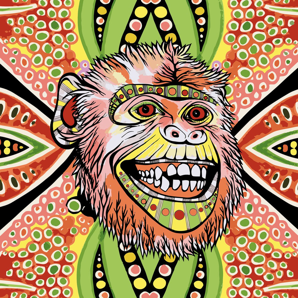 Monkeyhead 2, fineartprint 30 × 30 cm (variable)
