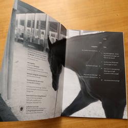 Buch 09