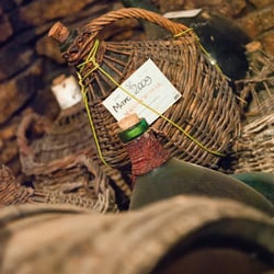 Food – Meine Weinlese in Frankreich