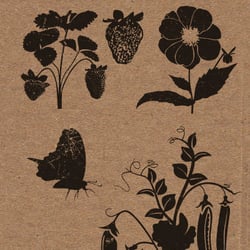 Design Elements